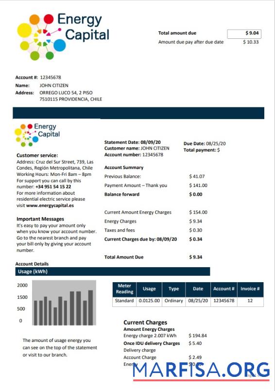 Realistic Chile Energy Capital utility bill sample